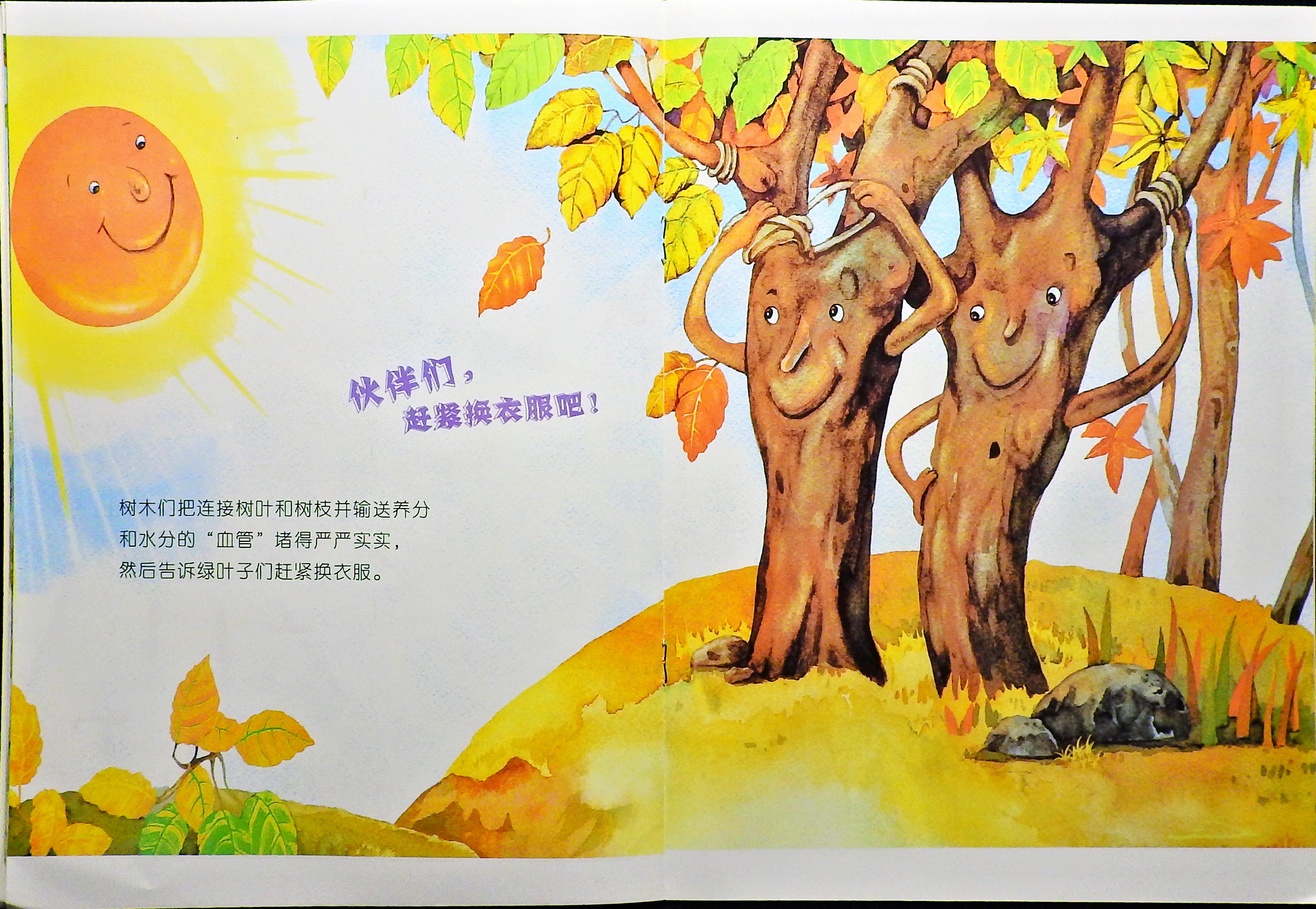 五颜六色的叶子 (07),绘本,绘本故事,绘本阅读,故事书,童书,图画书,课外阅读